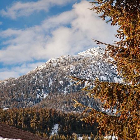 Updated Whistler Creek Studio With Parking Exterior foto